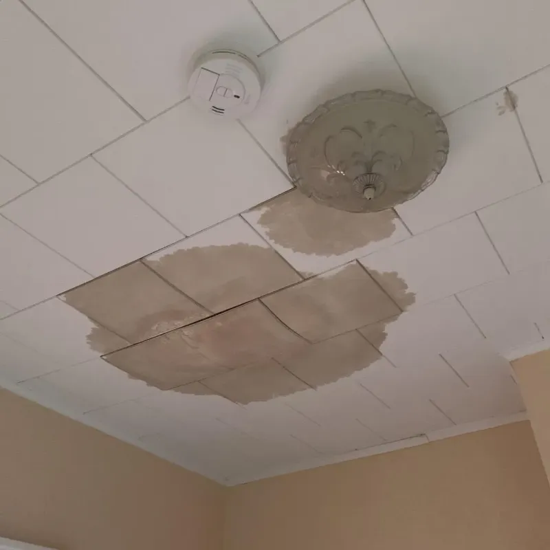 Ceiling Water Damage Repair in South Greensburg, PA