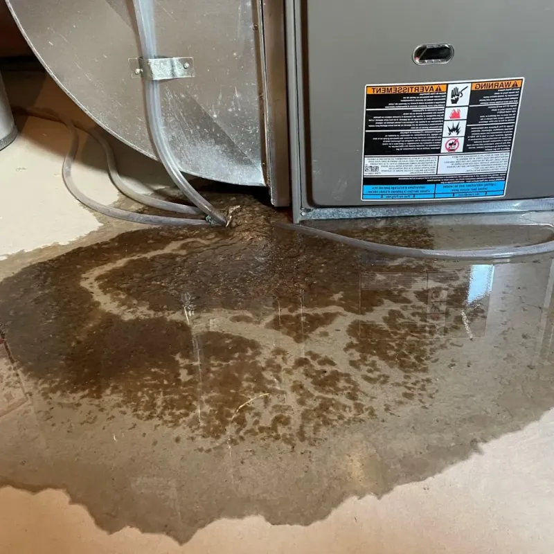 Pipe Burst and Leak Restoration in South Greensburg, PA