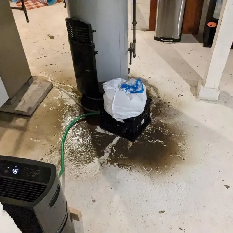 Sewage Backup Cleanup Service in South Greensburg, PA